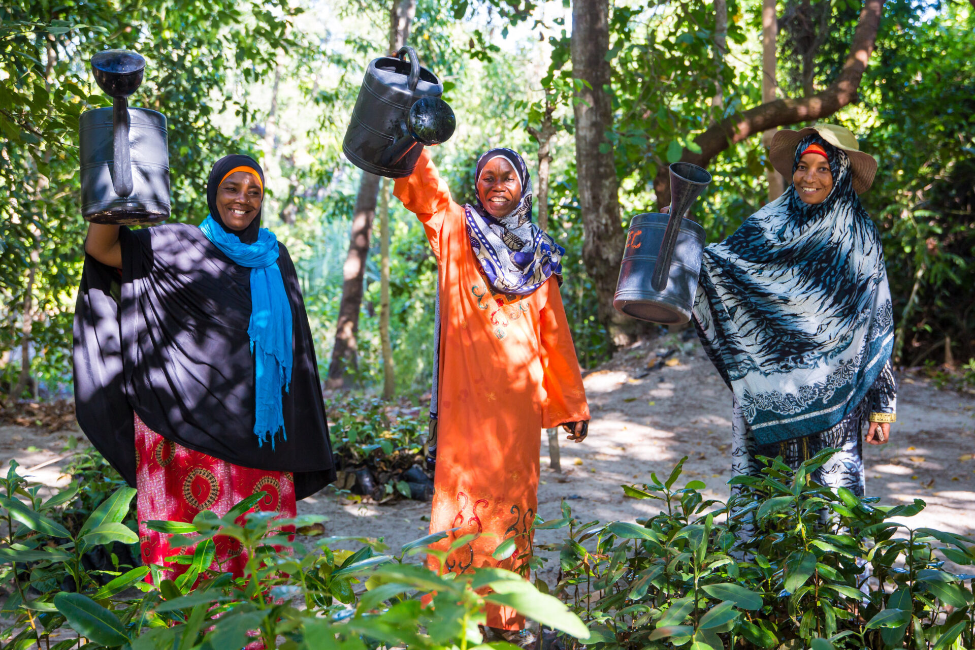 Three women wearing colourful dresses and scarves hold up their watering cans with enthusiasm. They are standing in a forest and tending to young tree seedlings.
