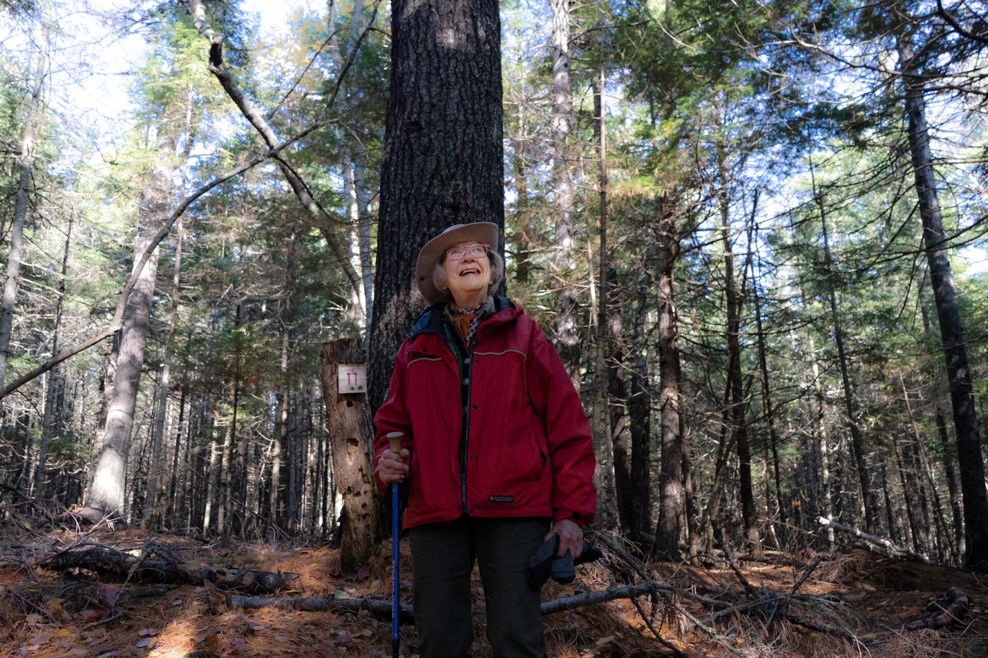A woman stands in her forest in front of a large pine.