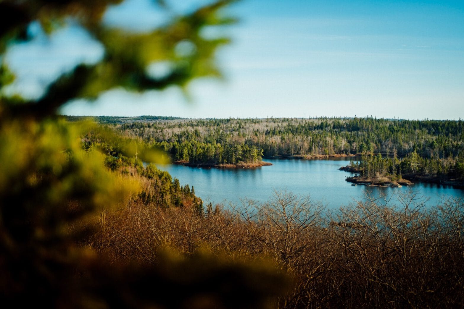 A blue lake surrounded by Acadian forest.
