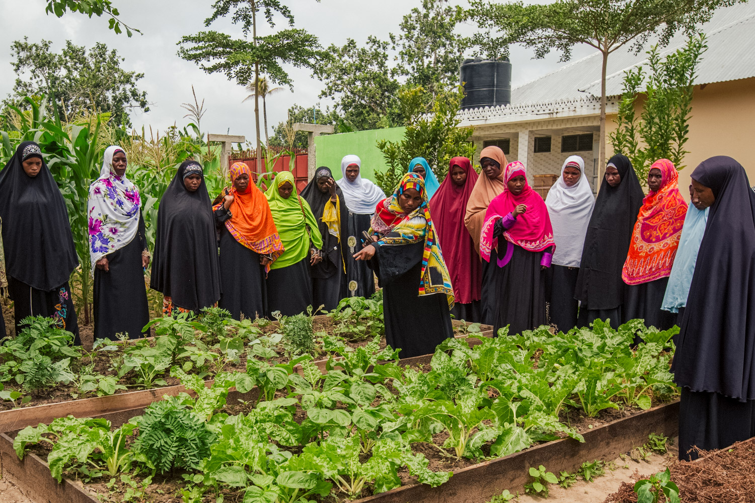 Women gather around a garden plot