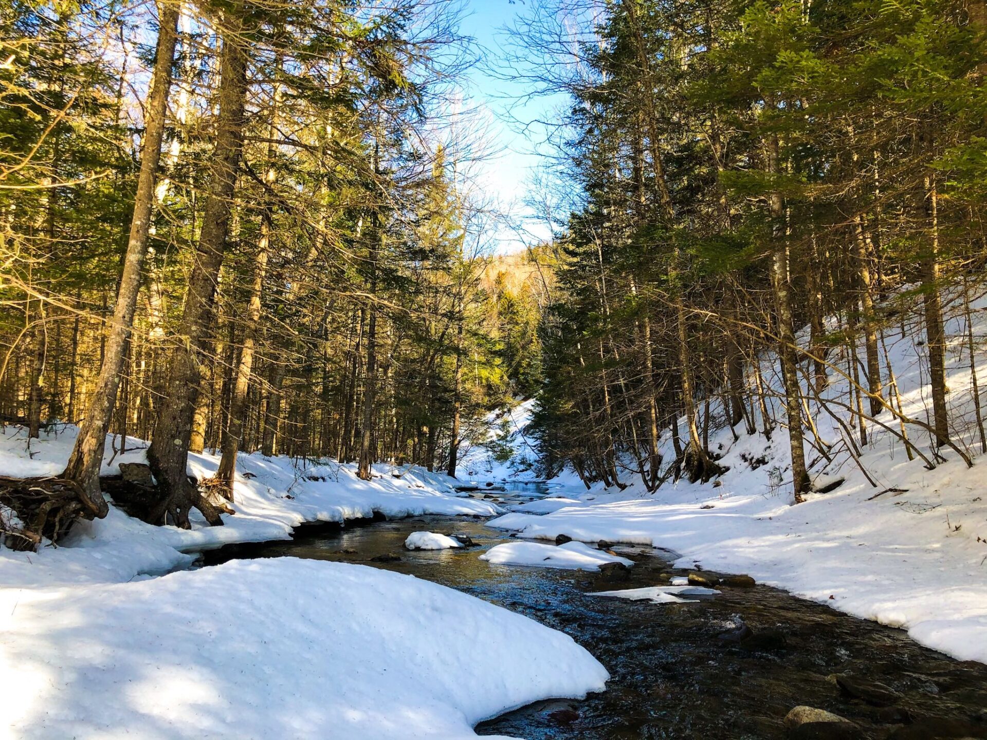Snow covered river leading into forest of trees with blue sky above