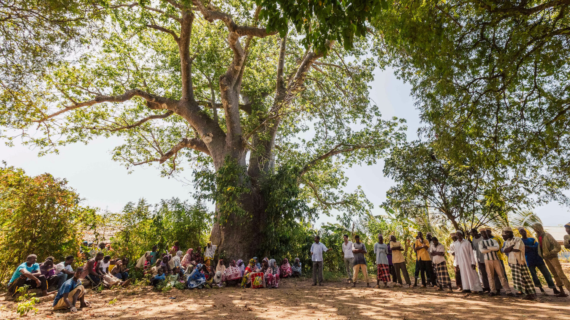 Community Forests International | Home