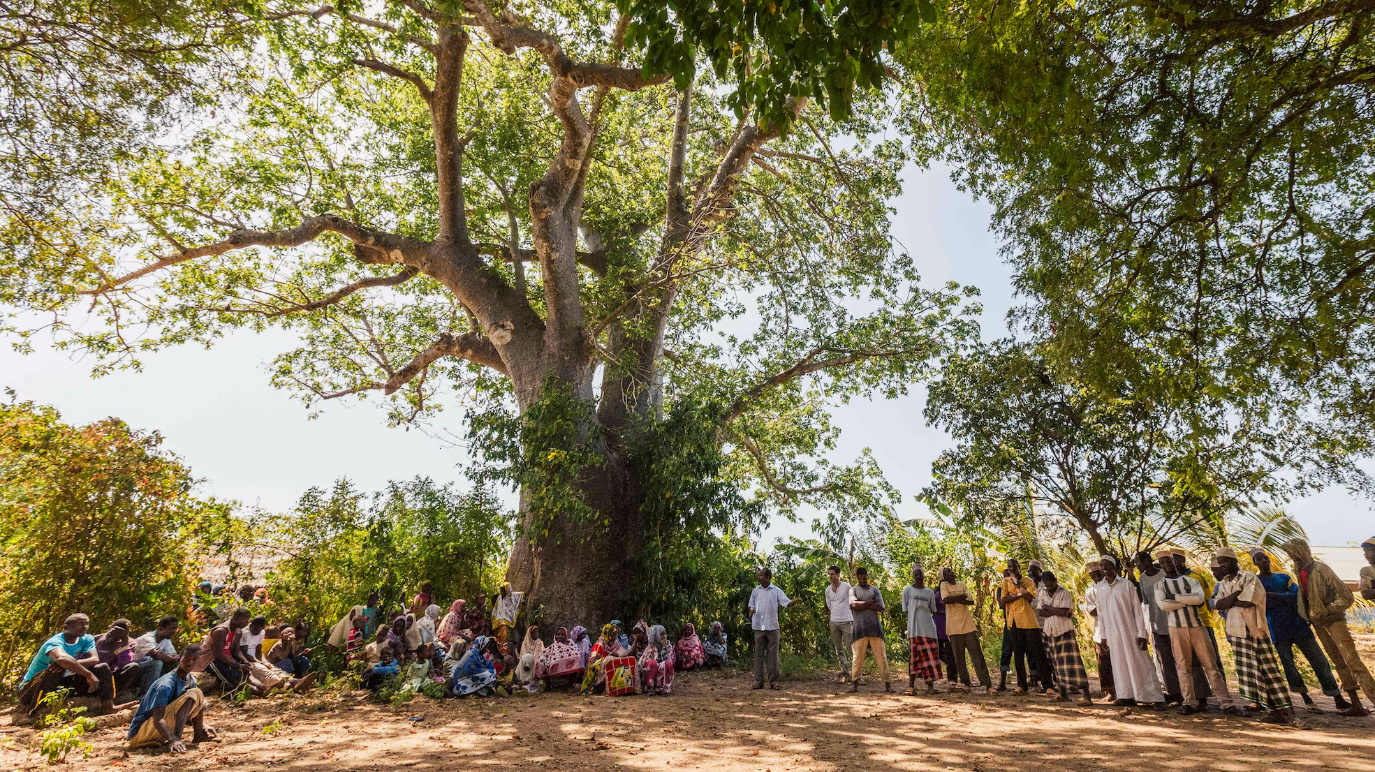 The community in Pemba gathers under a tree in the shade.