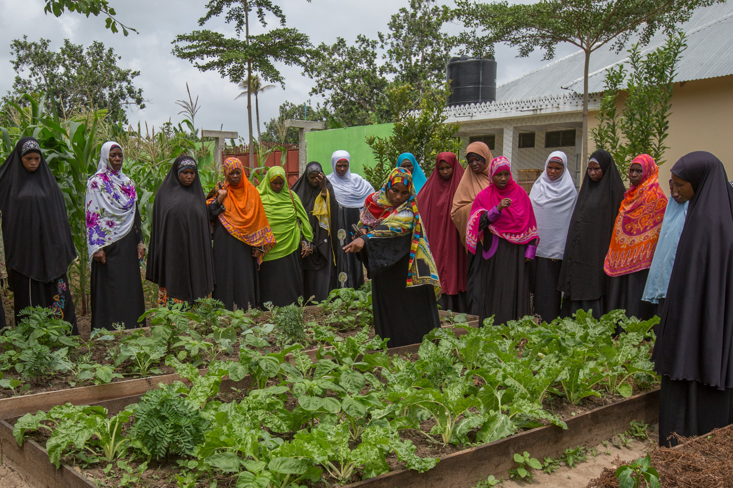 Women farmers in kitchen garden
