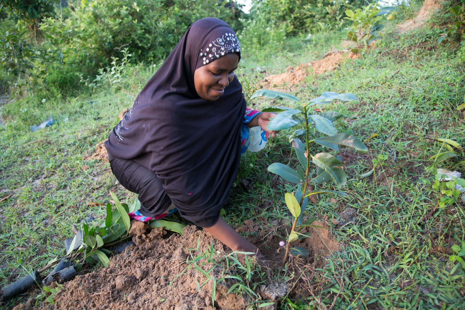 Photo of a woman wearing a black headdress smiling as she kneels down and plants a young avocado tree. 