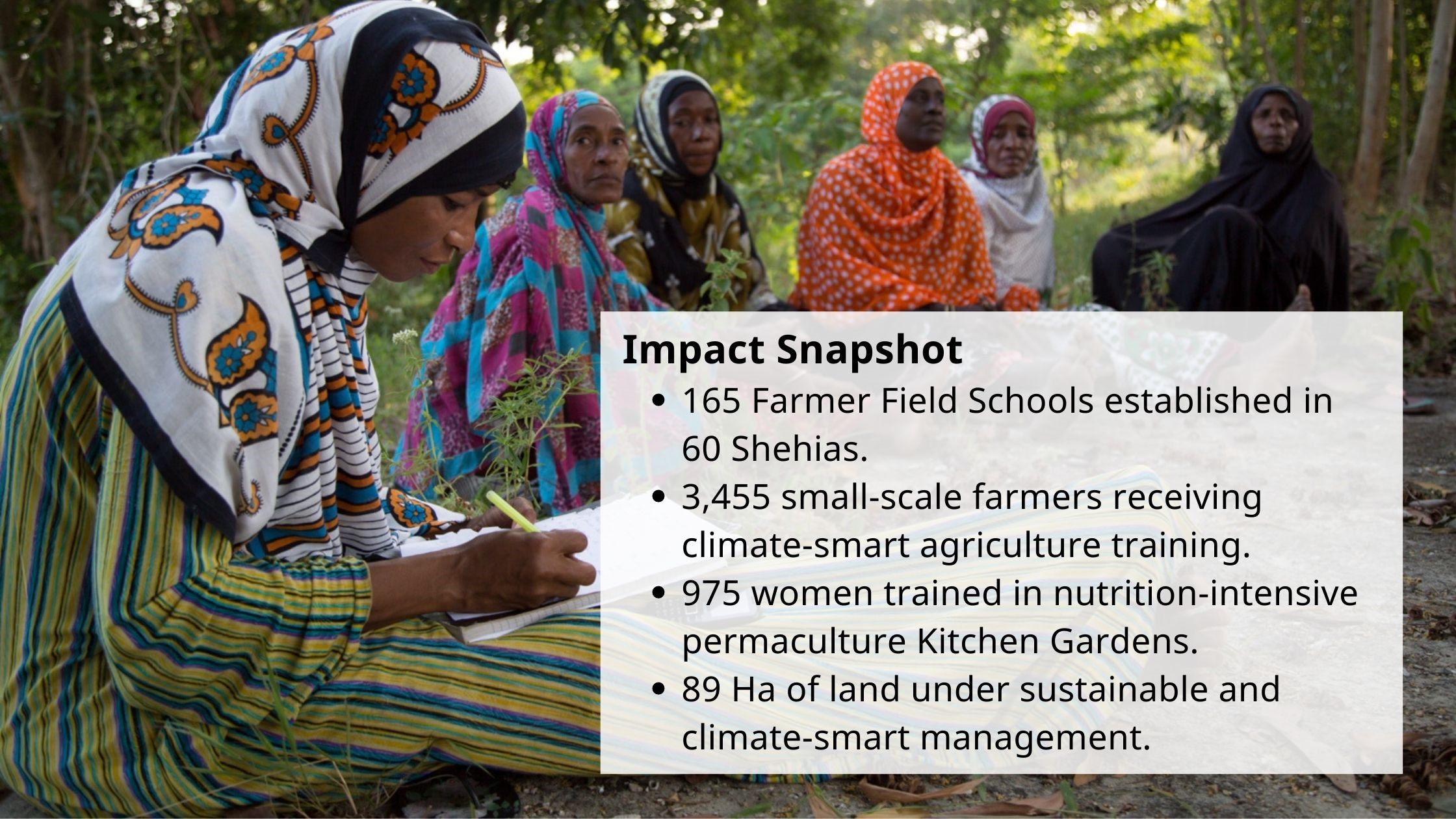 Impact Snapshot 165 Farmer Field Schools established in 60 Shehias. 3,455 small-scale farmers receiving climate-smart agriculture training. 975 women trained in nutrition-intensive permaculture Kitchen Gardens. 89 Ha of land under sustainable and climate-smart management.
