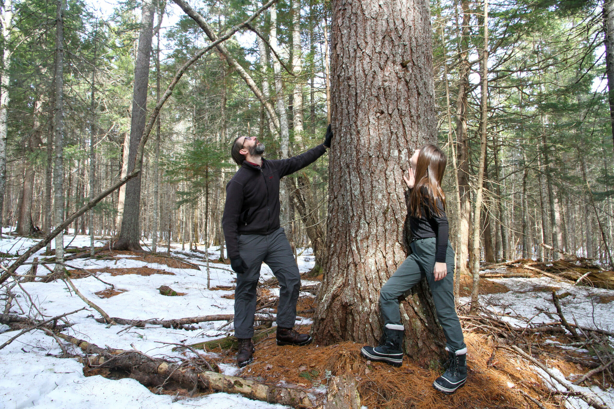 Two people, one man and a young woman, stand in a snow covered forest landscape. Both are leaning their hands against a large tree, looking up at the sky or forest canopy.