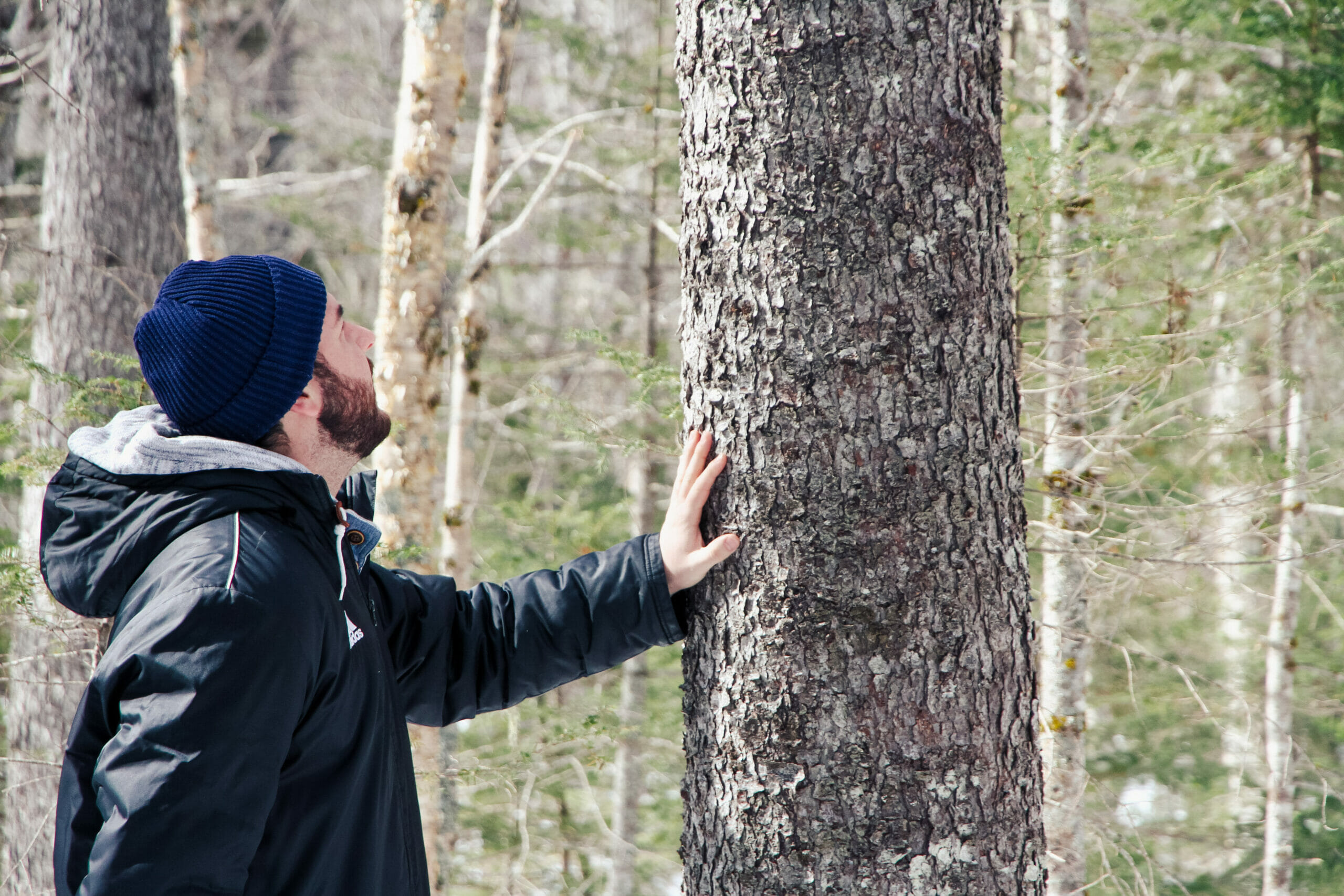 Community Forests International Home