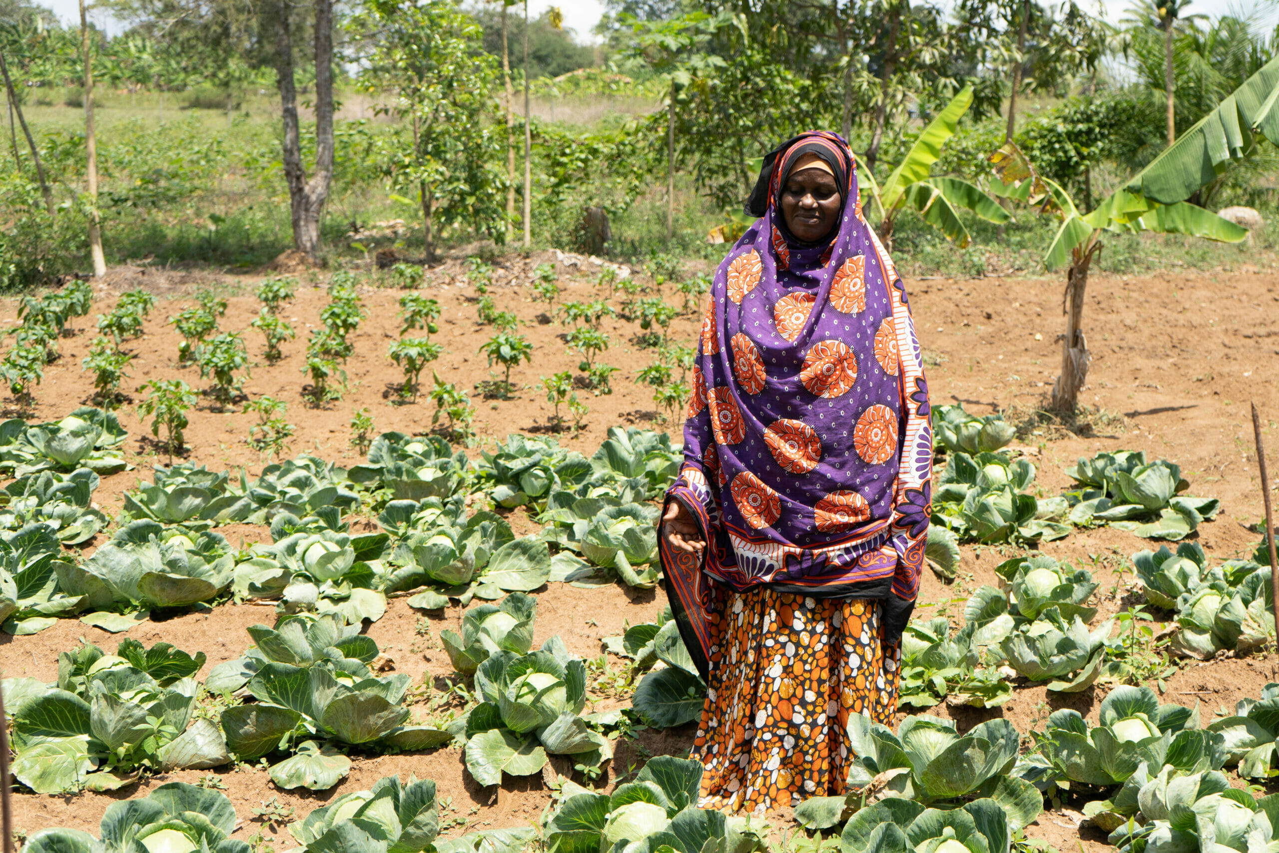 Community Forests International | Home